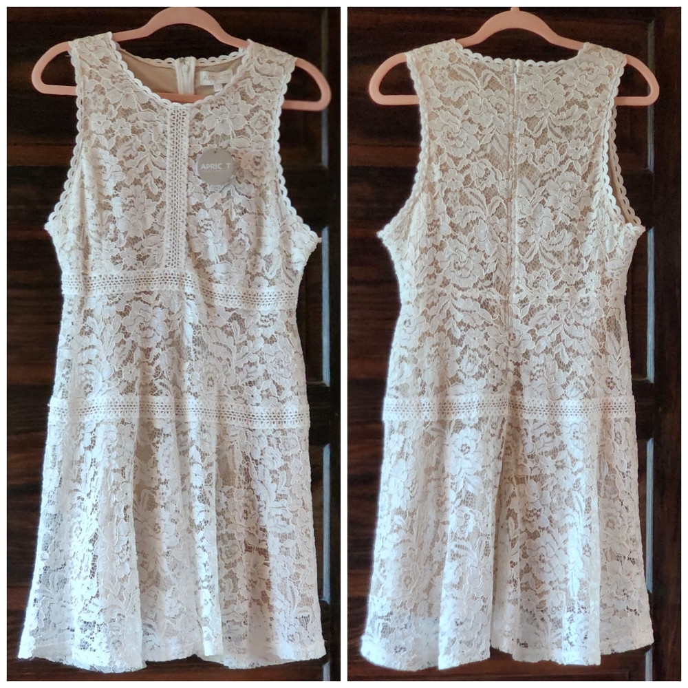 APRICOT Cream Lace Dress Size 10 Large Lined Fit & Flare Skater NEW - Picture 5 of 16